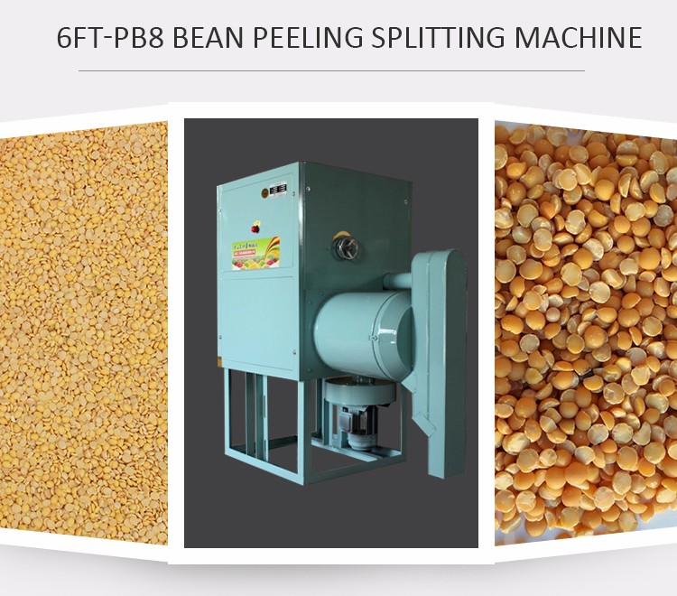 bean machine.jpg
